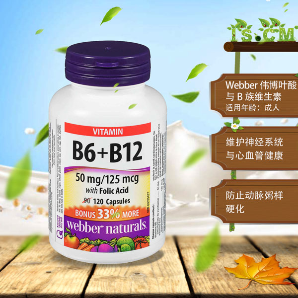 Webber伟博叶酸与B族维生素